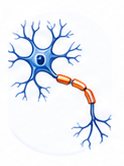 ALS / Motor Neuron Disease